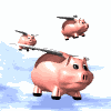 pigs_fly.gif - 16848 Bytes